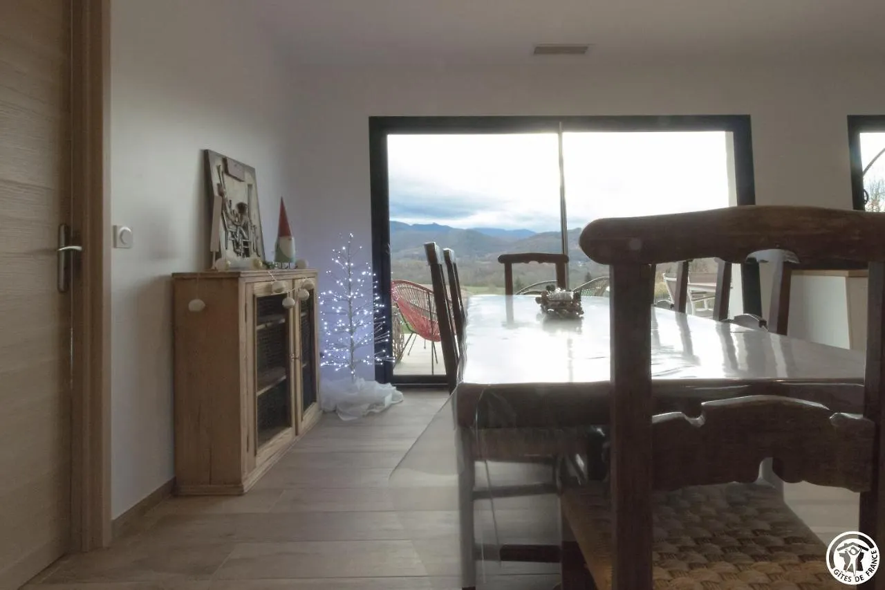 Villa Jacuzzi, Terrain De Petanque Et Aire De Jeux Vue Sur Les Pyrenees Seilhan 0*,